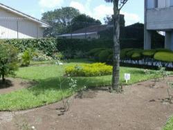 Im�veis em SP - Zona Oeste