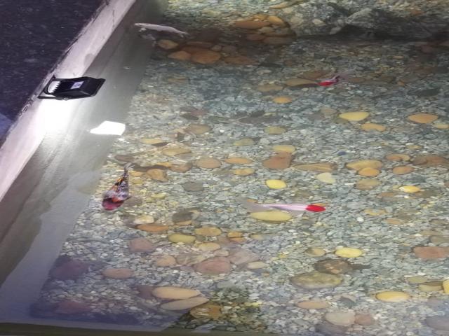 #3580 - Apartamento para Venda em Osasco - SP