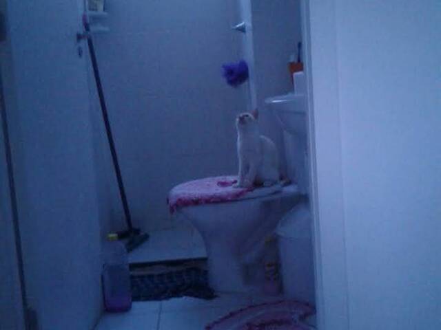 Apartamento para Venda em Cotia - 2