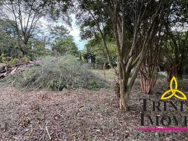 Área para Venda em Cotia - 5