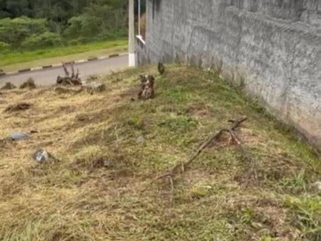#1924 - Área para Venda em Cotia - SP - 3