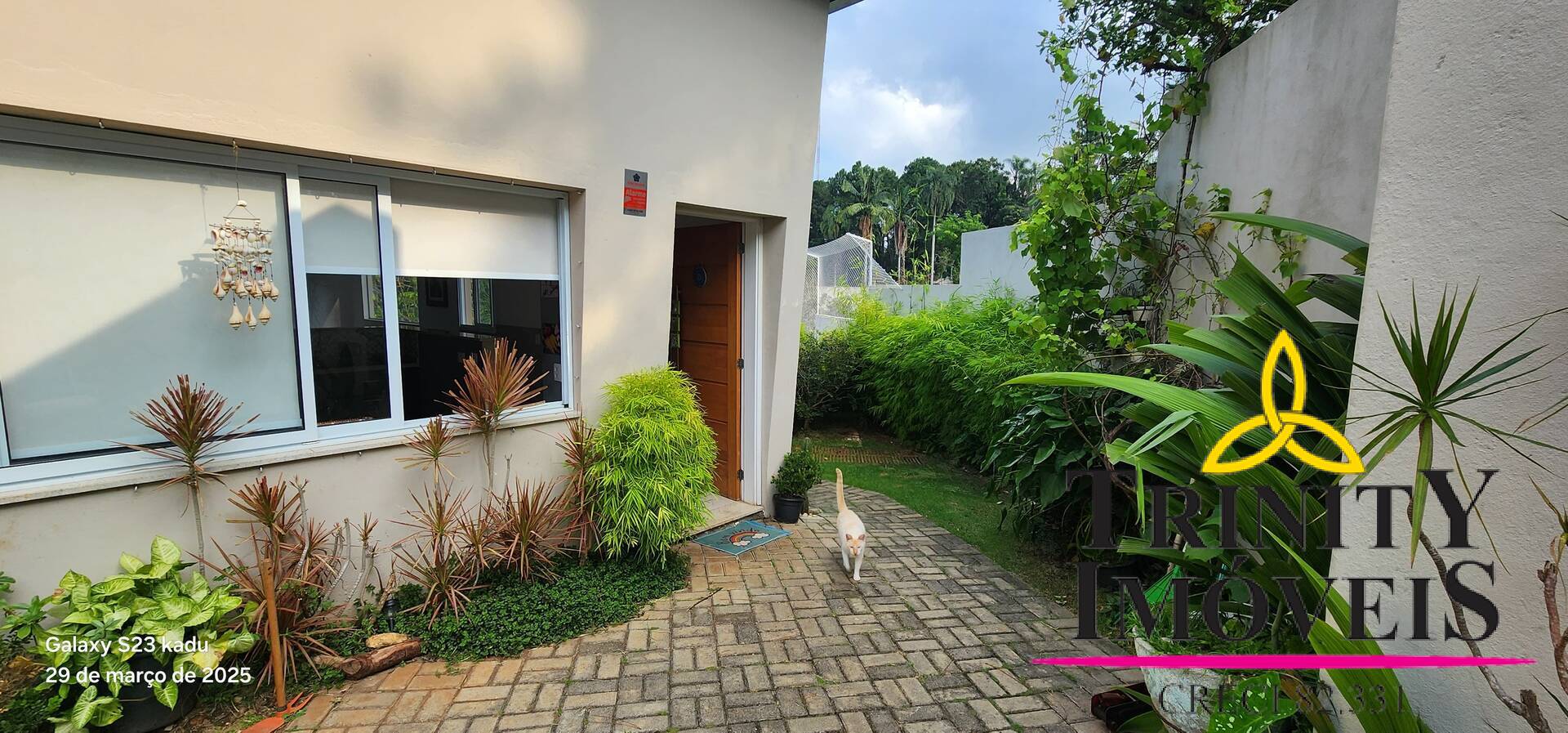 Casa, 4 quartos - Foto 4